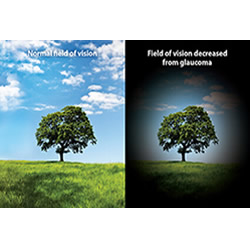 Orthopedics Services